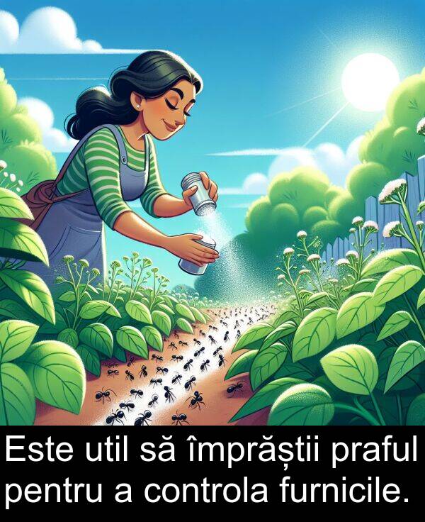 împrăștii: Este util să împrăștii praful pentru a controla furnicile.