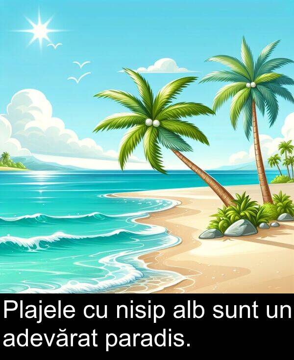 paradis: Plajele cu nisip alb sunt un adevărat paradis.
