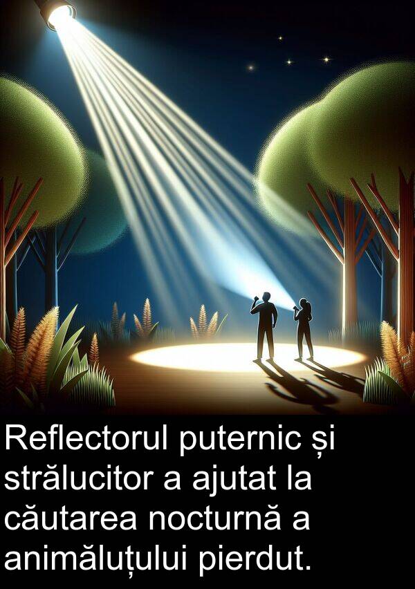 căutarea: Reflectorul puternic și strălucitor a ajutat la căutarea nocturnă a animăluțului pierdut.