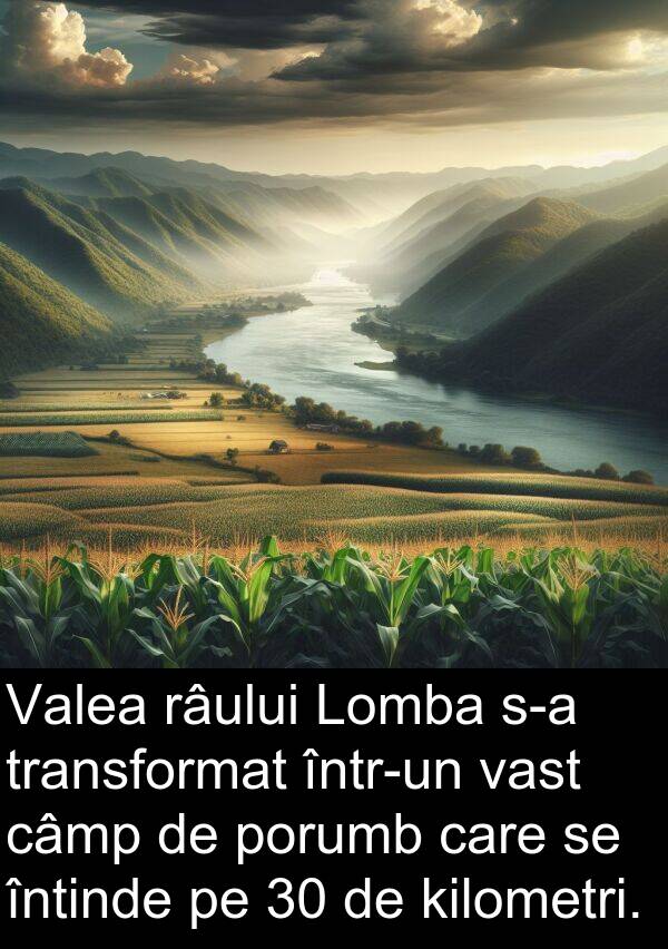 kilometri: Valea râului Lomba s-a transformat într-un vast câmp de porumb care se întinde pe 30 de kilometri.