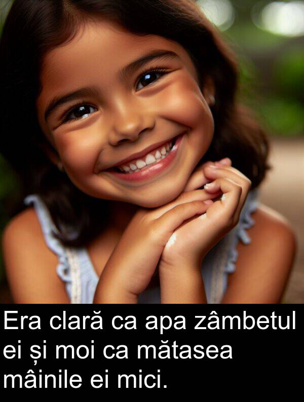 zâmbetul: Era clară ca apa zâmbetul ei și moi ca mătasea mâinile ei mici.