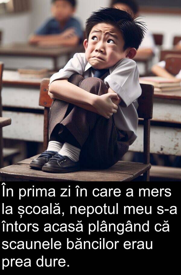 școală: În prima zi în care a mers la școală, nepotul meu s-a întors acasă plângând că scaunele băncilor erau prea dure.