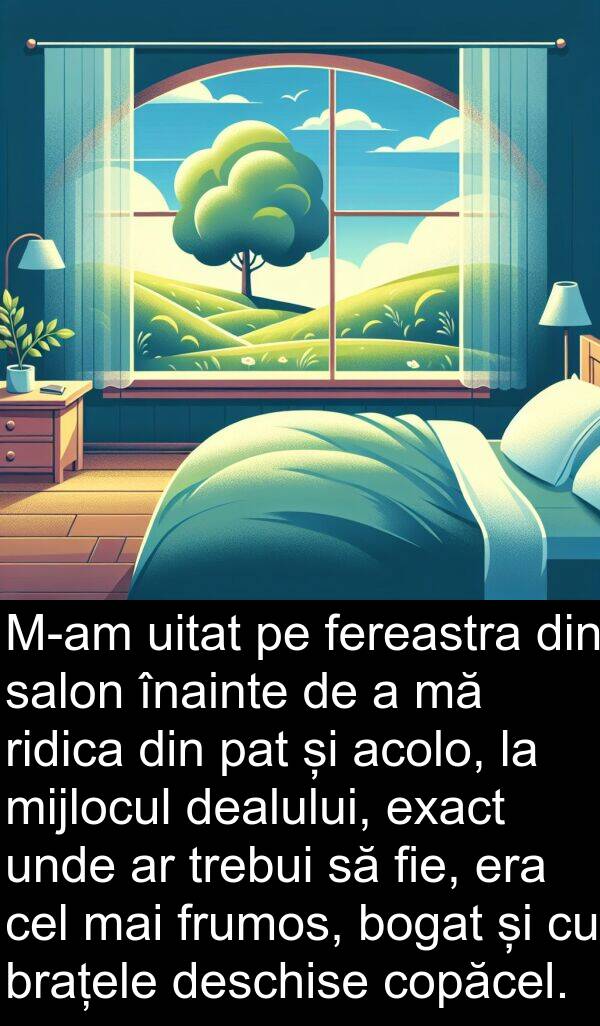 uitat: M-am uitat pe fereastra din salon înainte de a mă ridica din pat și acolo, la mijlocul dealului, exact unde ar trebui să fie, era cel mai frumos, bogat și cu brațele deschise copăcel.