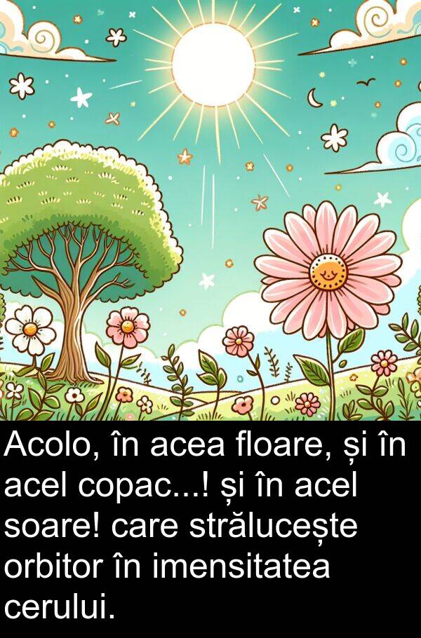 acel: Acolo, în acea floare, și în acel copac...! și în acel soare! care strălucește orbitor în imensitatea cerului.