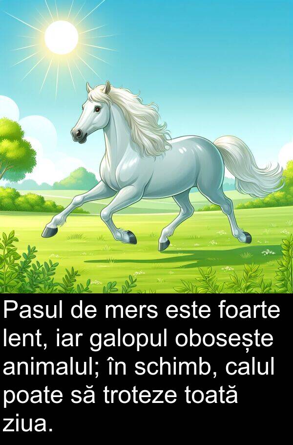 calul: Pasul de mers este foarte lent, iar galopul obosește animalul; în schimb, calul poate să troteze toată ziua.