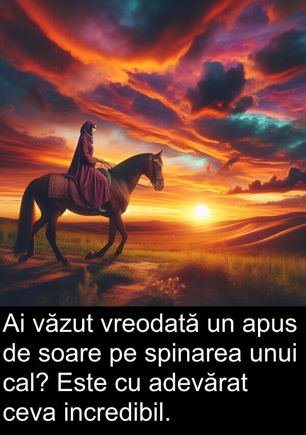 cal: Ai văzut vreodată un apus de soare pe spinarea unui cal? Este cu adevărat ceva incredibil.