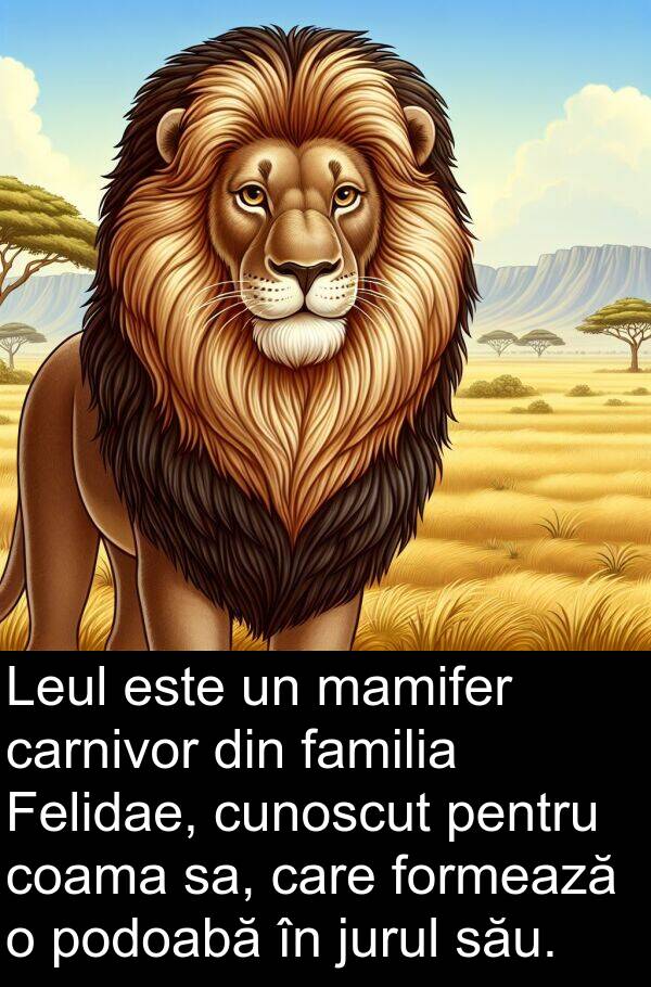 familia: Leul este un mamifer carnivor din familia Felidae, cunoscut pentru coama sa, care formează o podoabă în jurul său.