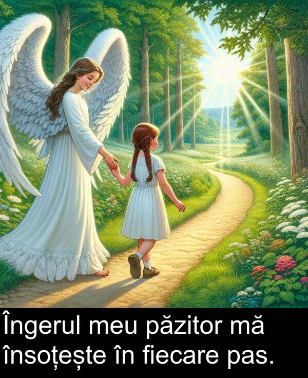 fiecare: Îngerul meu păzitor mă însoțește în fiecare pas.