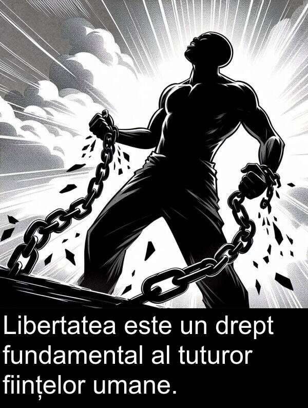 drept: Libertatea este un drept fundamental al tuturor ființelor umane.