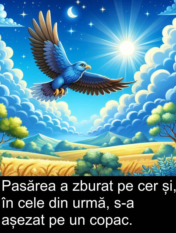 și: Pasărea a zburat pe cer și, în cele din urmă, s-a așezat pe un copac.