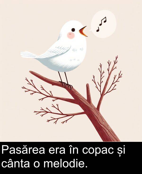 cânta: Pasărea era în copac și cânta o melodie.