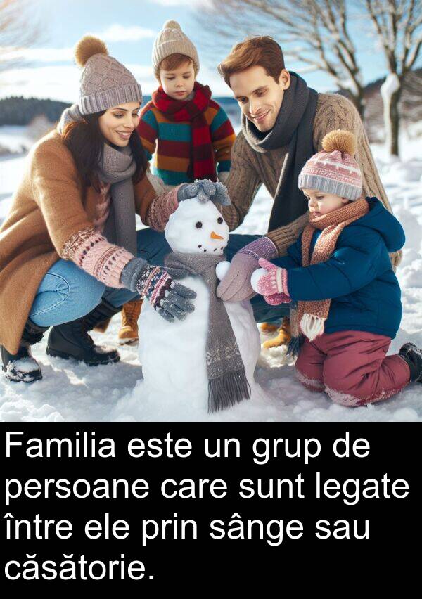 legate: Familia este un grup de persoane care sunt legate între ele prin sânge sau căsătorie.