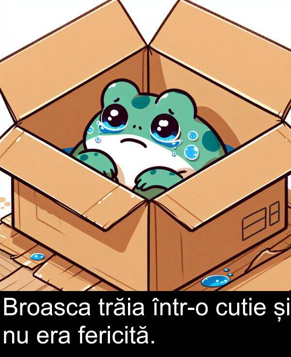 cutie: Broasca trăia într-o cutie și nu era fericită.