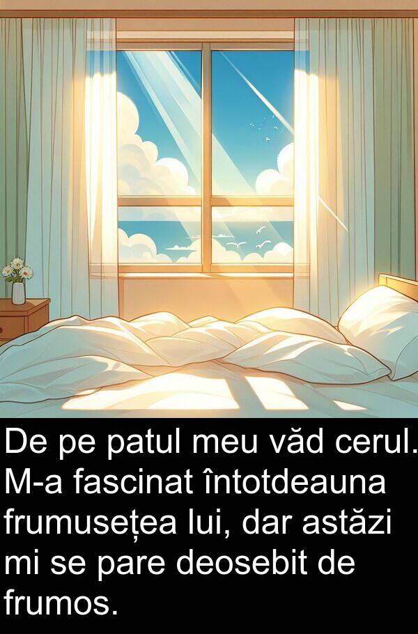 văd: De pe patul meu văd cerul. M-a fascinat întotdeauna frumusețea lui, dar astăzi mi se pare deosebit de frumos.