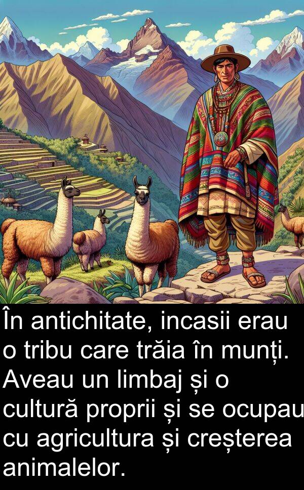 ocupau: În antichitate, incasii erau o tribu care trăia în munți. Aveau un limbaj și o cultură proprii și se ocupau cu agricultura și creșterea animalelor.