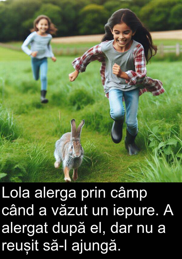 el: Lola alerga prin câmp când a văzut un iepure. A alergat după el, dar nu a reușit să-l ajungă.