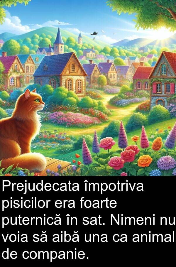 una: Prejudecata împotriva pisicilor era foarte puternică în sat. Nimeni nu voia să aibă una ca animal de companie.