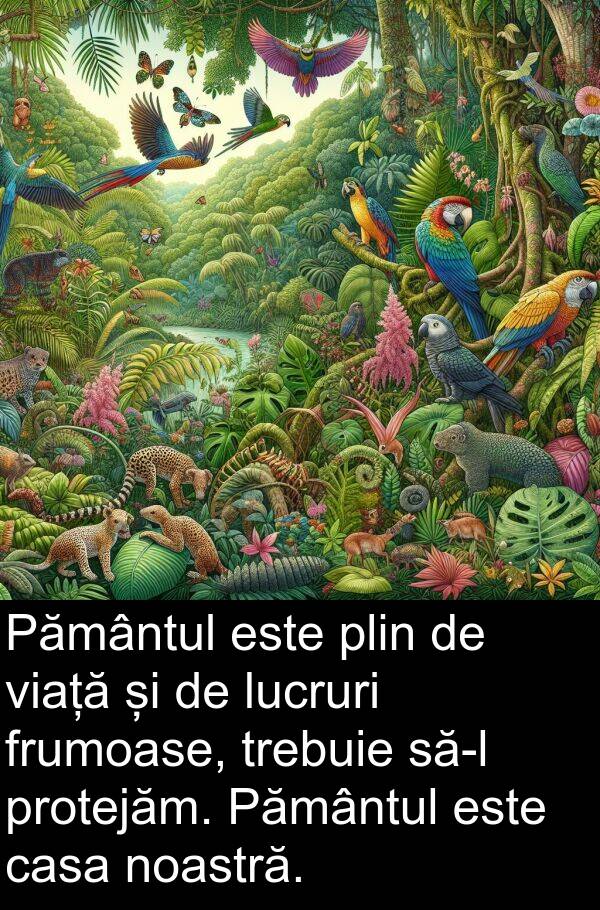 plin: Pământul este plin de viață și de lucruri frumoase, trebuie să-l protejăm. Pământul este casa noastră.