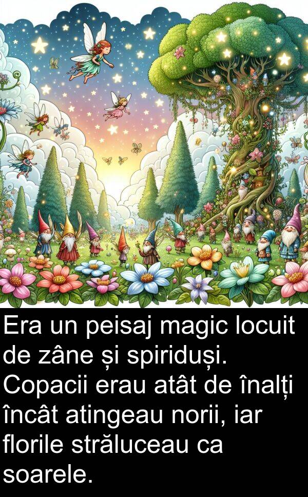 zâne: Era un peisaj magic locuit de zâne și spiriduși. Copacii erau atât de înalți încât atingeau norii, iar florile străluceau ca soarele.