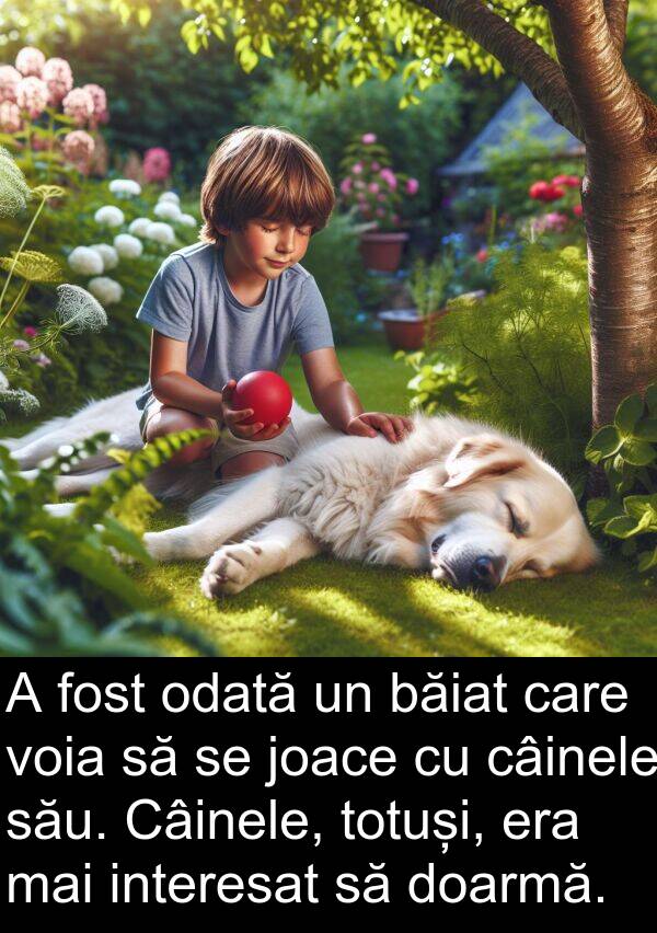 băiat: A fost odată un băiat care voia să se joace cu câinele său. Câinele, totuși, era mai interesat să doarmă.