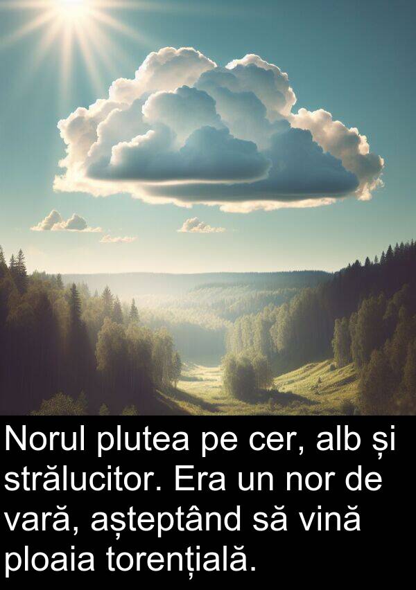vară: Norul plutea pe cer, alb și strălucitor. Era un nor de vară, așteptând să vină ploaia torențială.