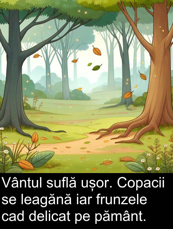 pământ: Vântul suflă ușor. Copacii se leagănă iar frunzele cad delicat pe pământ.