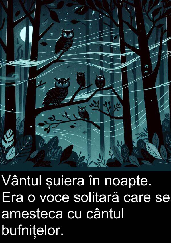 șuiera: Vântul șuiera în noapte. Era o voce solitară care se amesteca cu cântul bufnițelor.