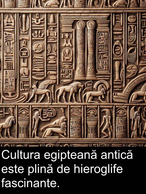 fascinante: Cultura egipteană antică este plină de hieroglife fascinante.
