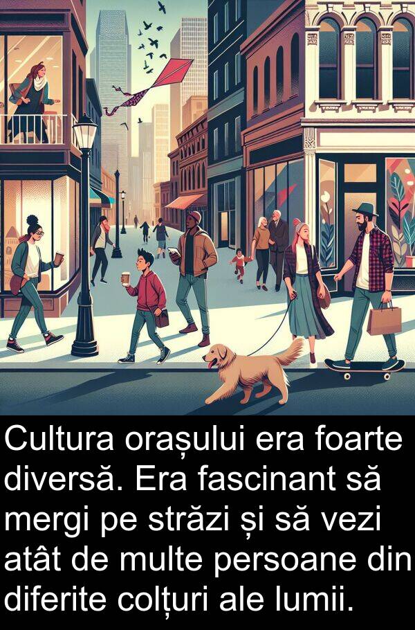 lumii: Cultura orașului era foarte diversă. Era fascinant să mergi pe străzi și să vezi atât de multe persoane din diferite colțuri ale lumii.