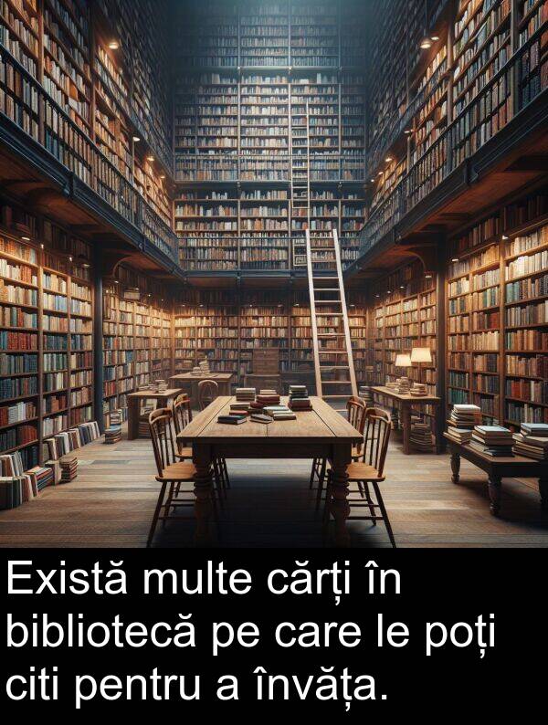 învăța: Există multe cărți în bibliotecă pe care le poți citi pentru a învăța.