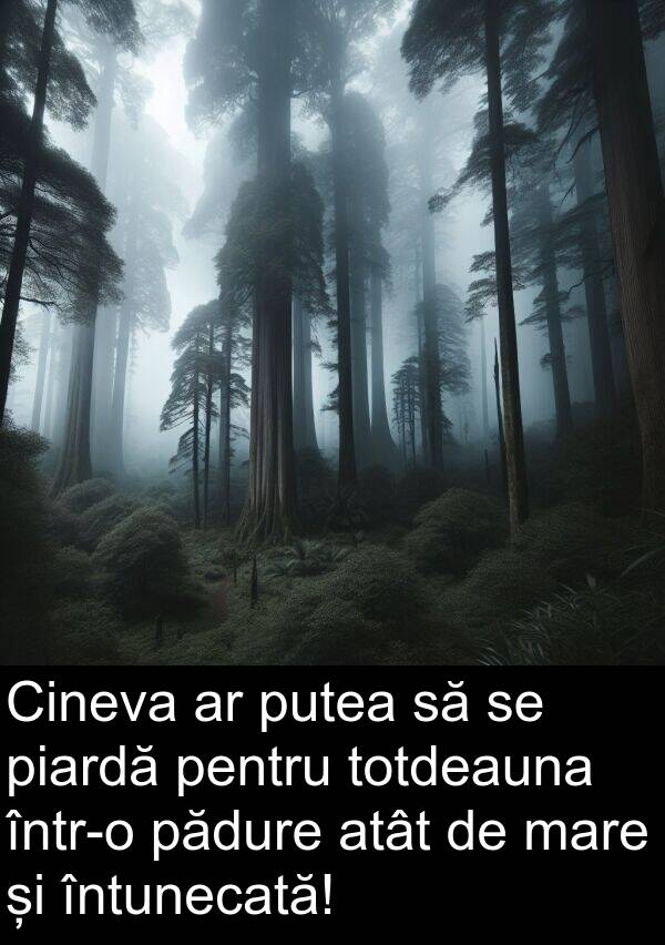 atât: Cineva ar putea să se piardă pentru totdeauna într-o pădure atât de mare și întunecată!