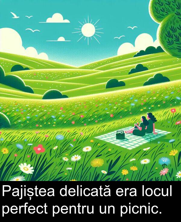 perfect: Pajiștea delicată era locul perfect pentru un picnic.