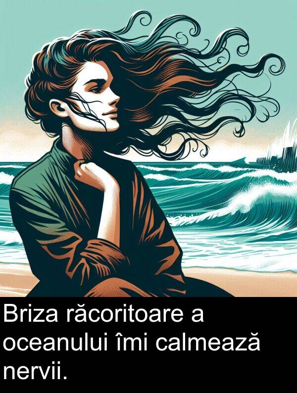 oceanului: Briza răcoritoare a oceanului îmi calmează nervii.