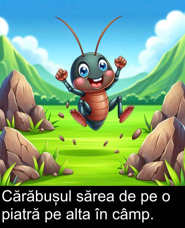 câmp: Cărăbușul sărea de pe o piatră pe alta în câmp.