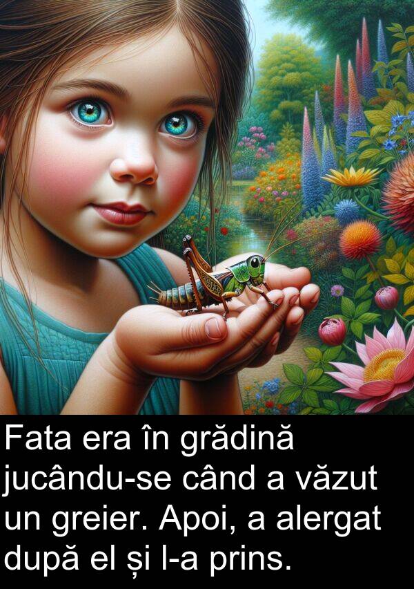prins: Fata era în grădină jucându-se când a văzut un greier. Apoi, a alergat după el și l-a prins.