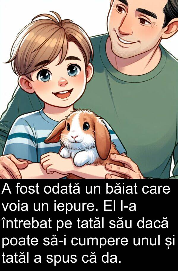 tatăl: A fost odată un băiat care voia un iepure. El l-a întrebat pe tatăl său dacă poate să-i cumpere unul și tatăl a spus că da.