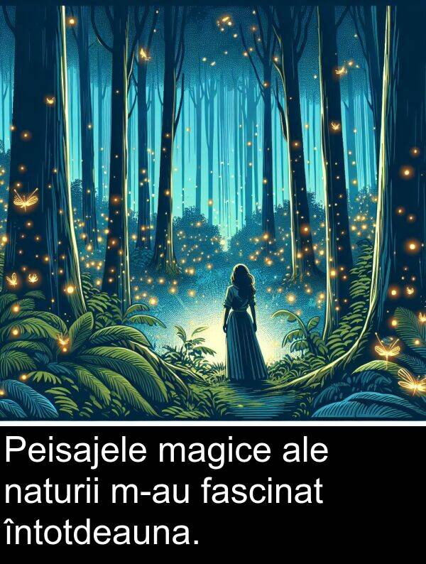 naturii: Peisajele magice ale naturii m-au fascinat întotdeauna.