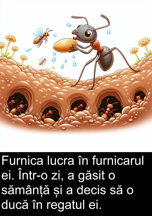 zi: Furnica lucra în furnicarul ei. Într-o zi, a găsit o sămânță și a decis să o ducă în regatul ei.