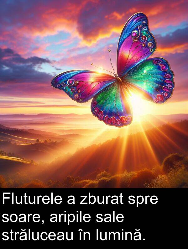zburat: Fluturele a zburat spre soare, aripile sale străluceau în lumină.