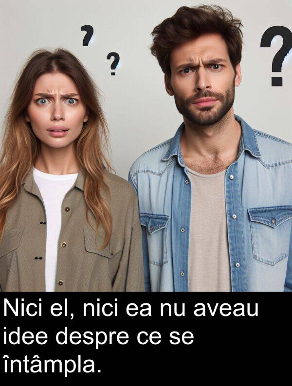 el: Nici el, nici ea nu aveau idee despre ce se întâmpla.