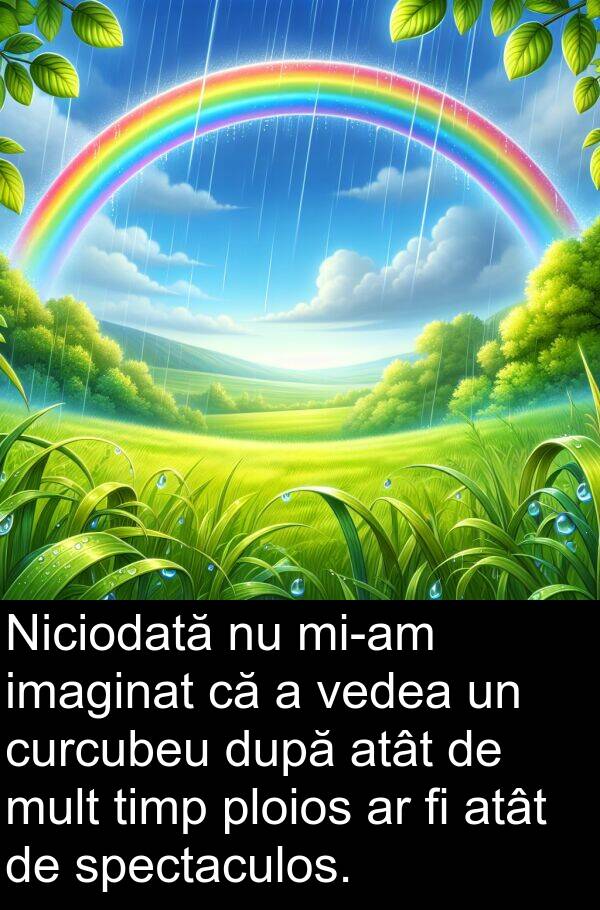 vedea: Niciodată nu mi-am imaginat că a vedea un curcubeu după atât de mult timp ploios ar fi atât de spectaculos.