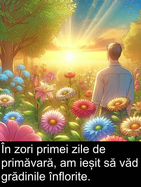 zori: În zori primei zile de primăvară, am ieșit să văd grădinile înflorite.