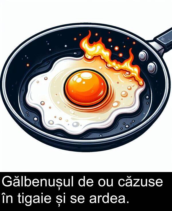 căzuse: Gălbenușul de ou căzuse în tigaie și se ardea.