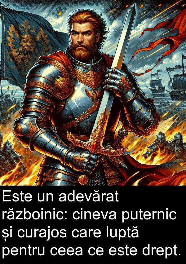 drept: Este un adevărat războinic: cineva puternic și curajos care luptă pentru ceea ce este drept.