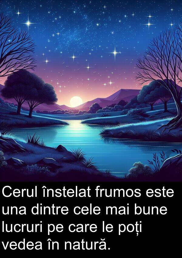 una: Cerul înstelat frumos este una dintre cele mai bune lucruri pe care le poți vedea în natură.