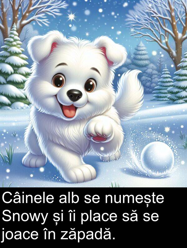 zăpadă: Câinele alb se numește Snowy și îi place să se joace în zăpadă.