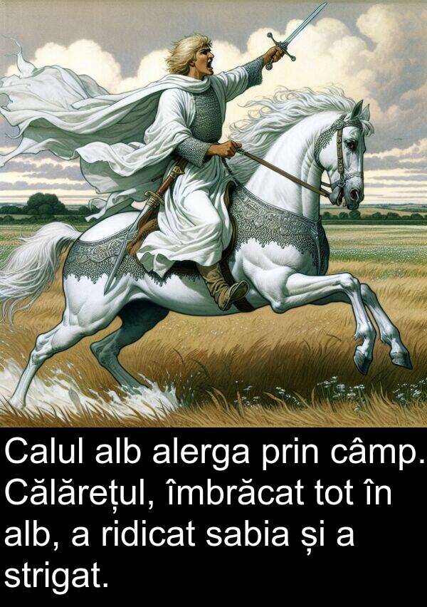 îmbrăcat: Calul alb alerga prin câmp. Călărețul, îmbrăcat tot în alb, a ridicat sabia și a strigat.