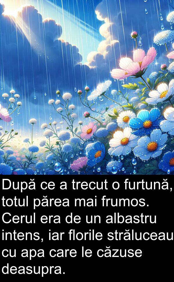 iar: După ce a trecut o furtună, totul părea mai frumos. Cerul era de un albastru intens, iar florile străluceau cu apa care le căzuse deasupra.