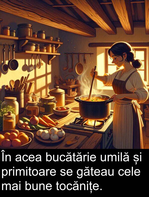 acea: În acea bucătărie umilă și primitoare se găteau cele mai bune tocănițe.