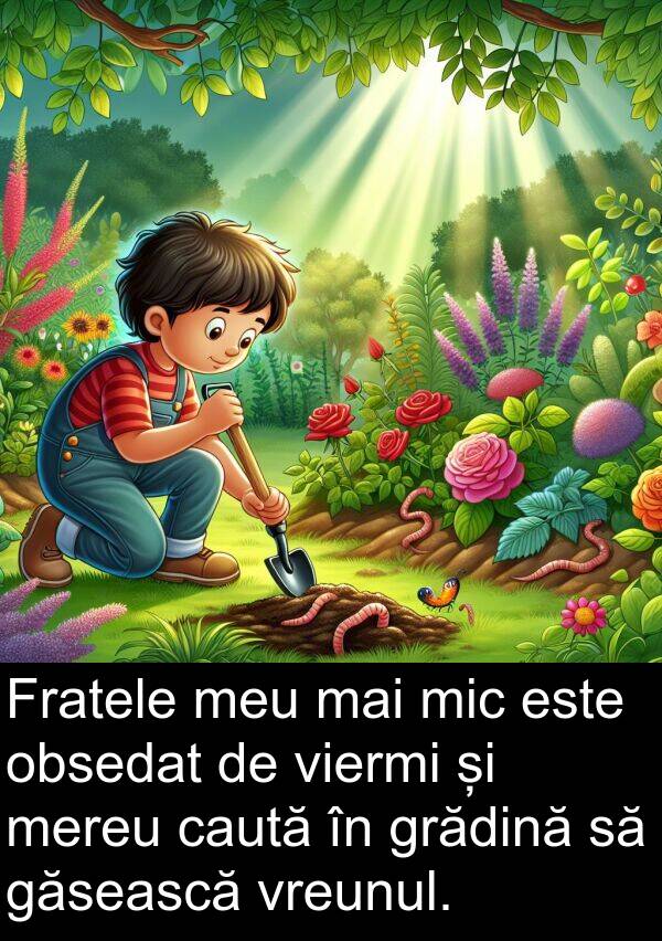 găsească: Fratele meu mai mic este obsedat de viermi și mereu caută în grădină să găsească vreunul.